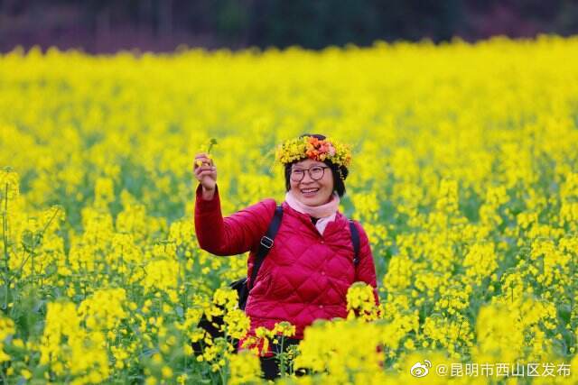 昆明市西山区发布