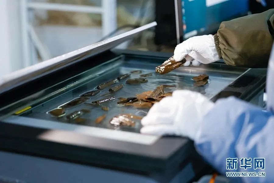 美丽云南微科普