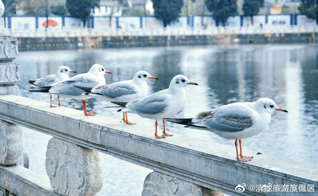 滇池旅游度假区