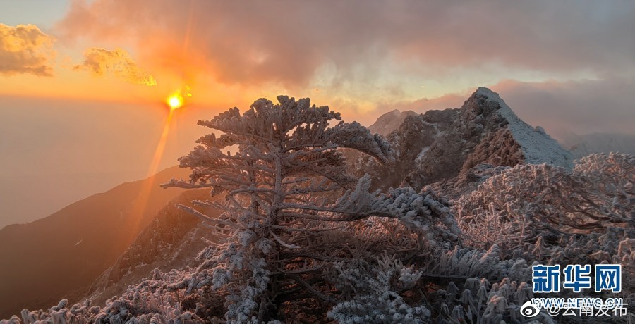 “云南发布”微博