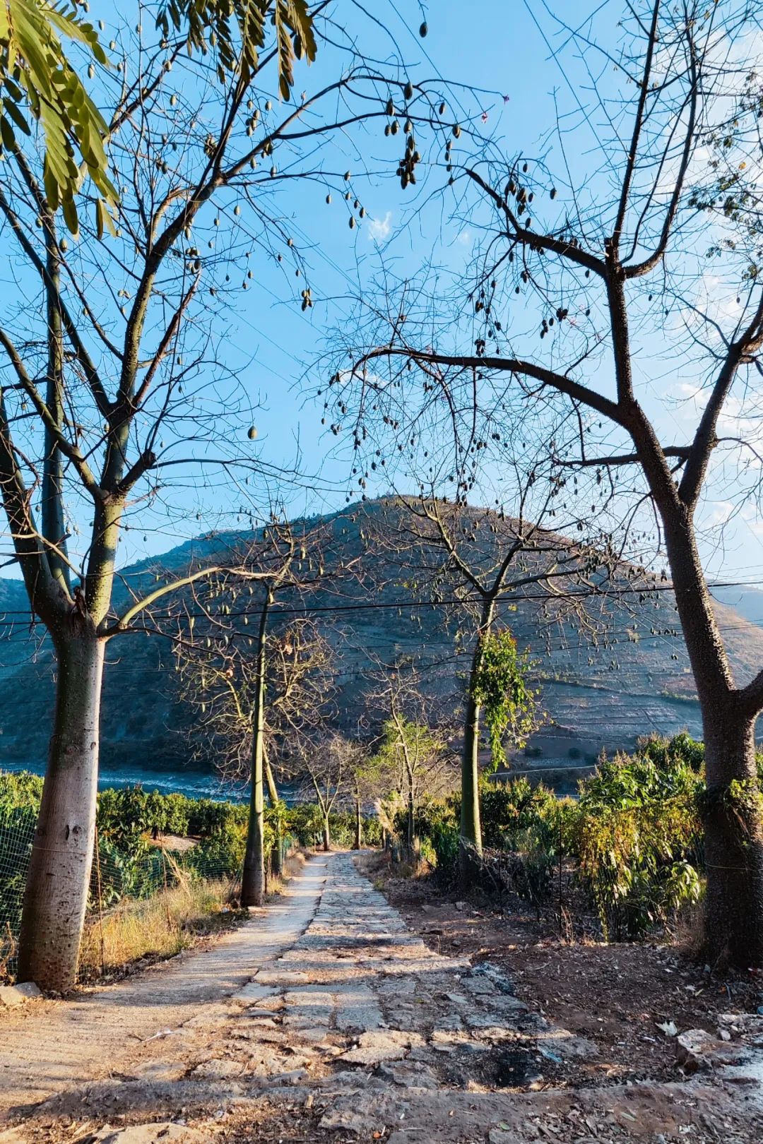 一部手机游云南