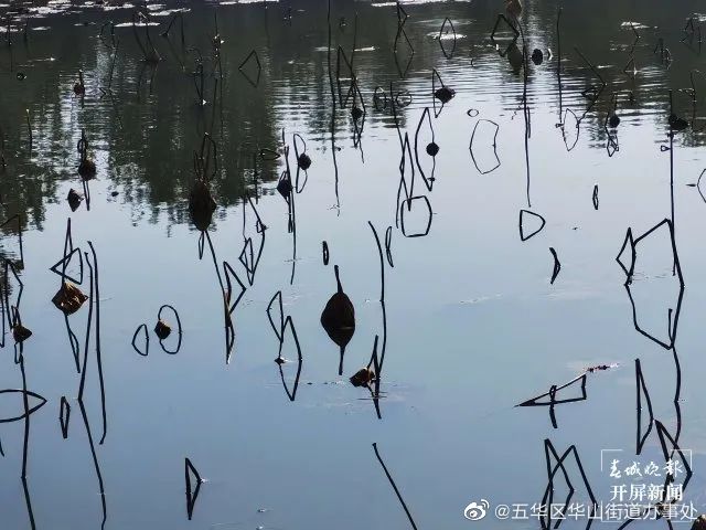 五华区华山街道办事处