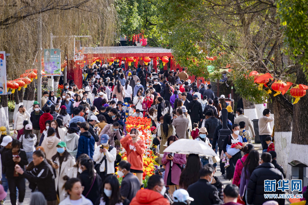 云南省文化和旅游厅