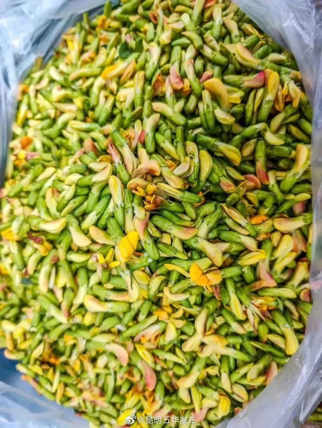 昆明五华发布