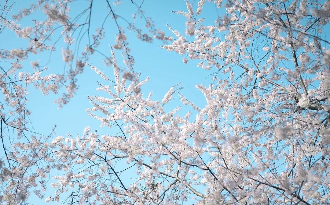 一部手机游云南