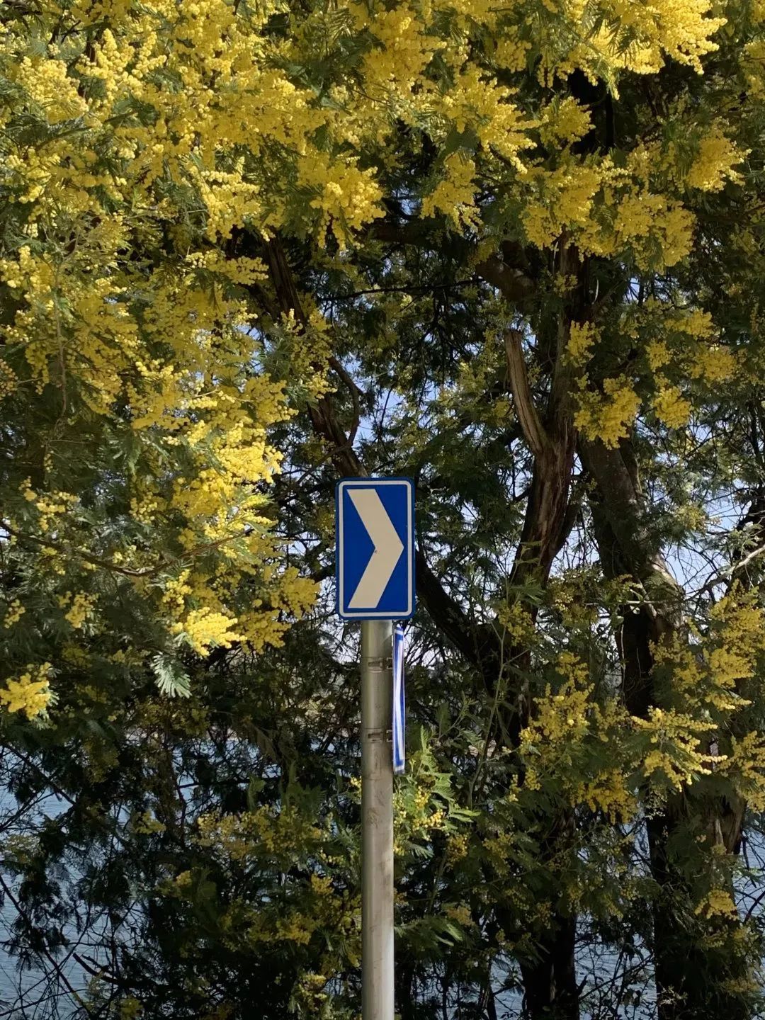 一部手机游云南