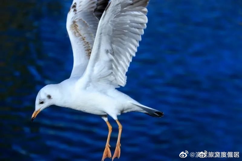 滇池旅游度假区