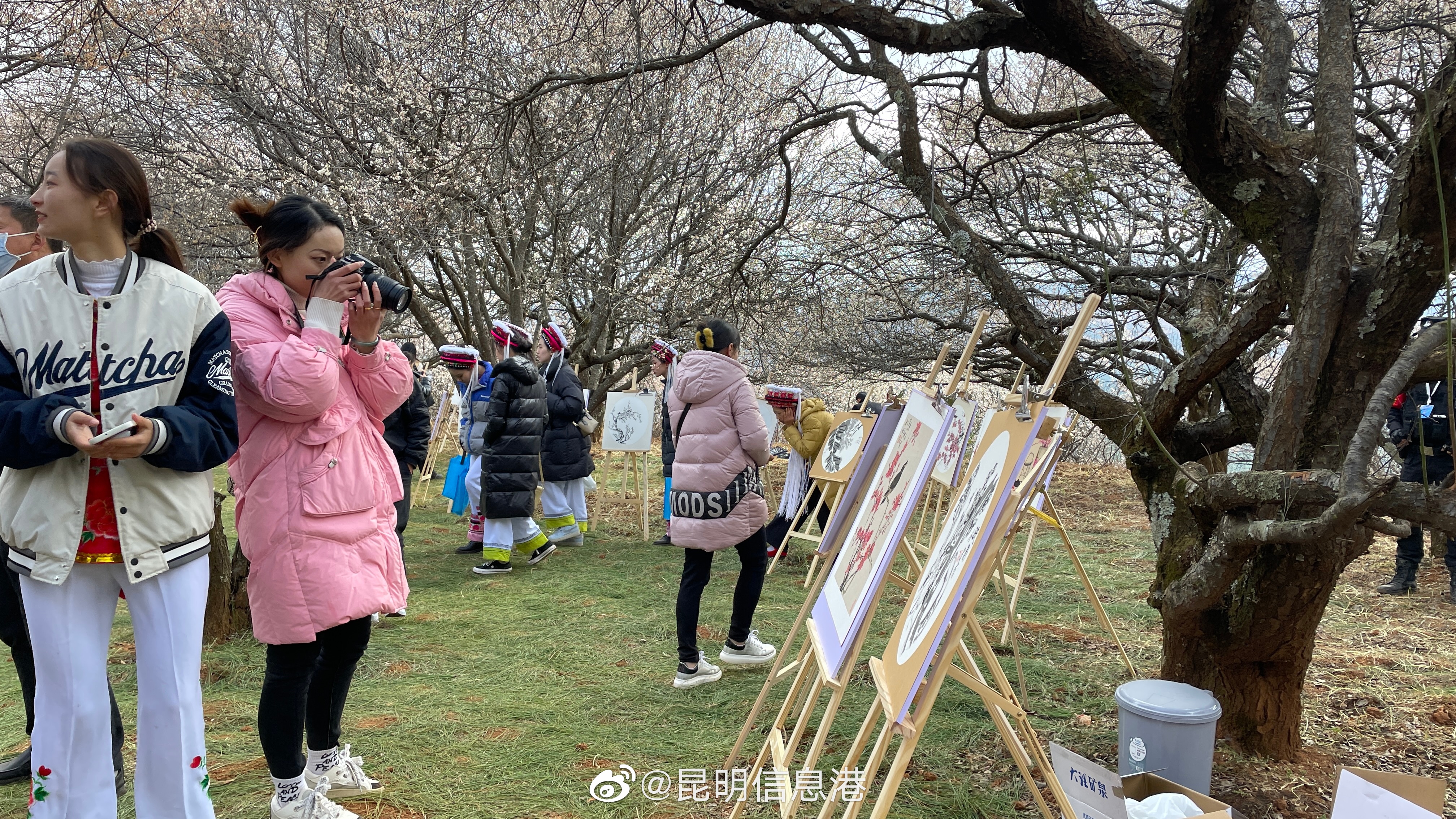 昆明信息港（微博）