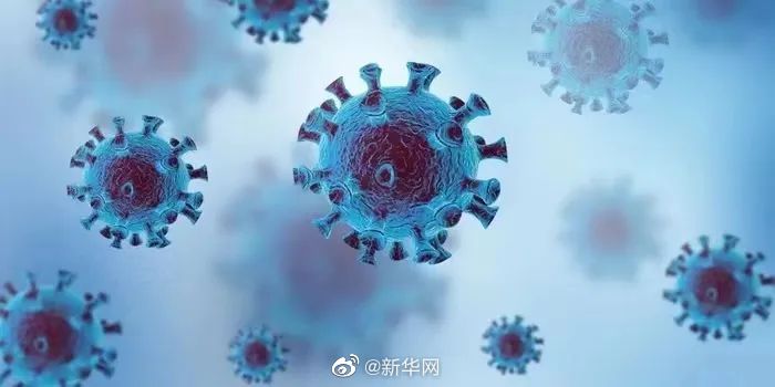 关于奥密克戎变异株CH.1.1，这些知识您需要了解