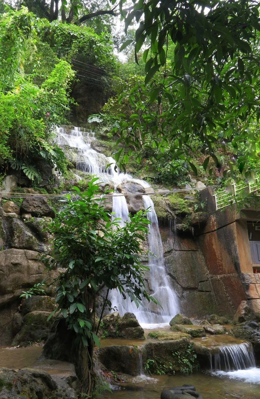 一部手机游云南