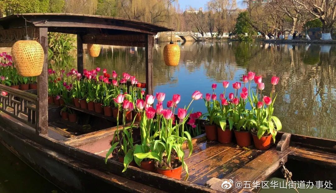 五华区华山街道办事处