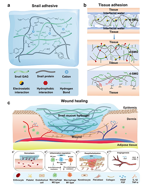 美丽云南微科普