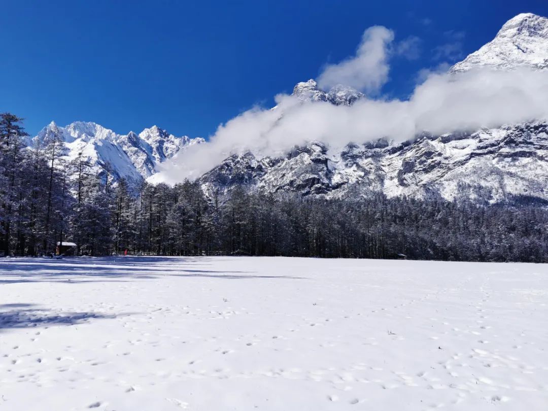 云南省文化和旅游厅