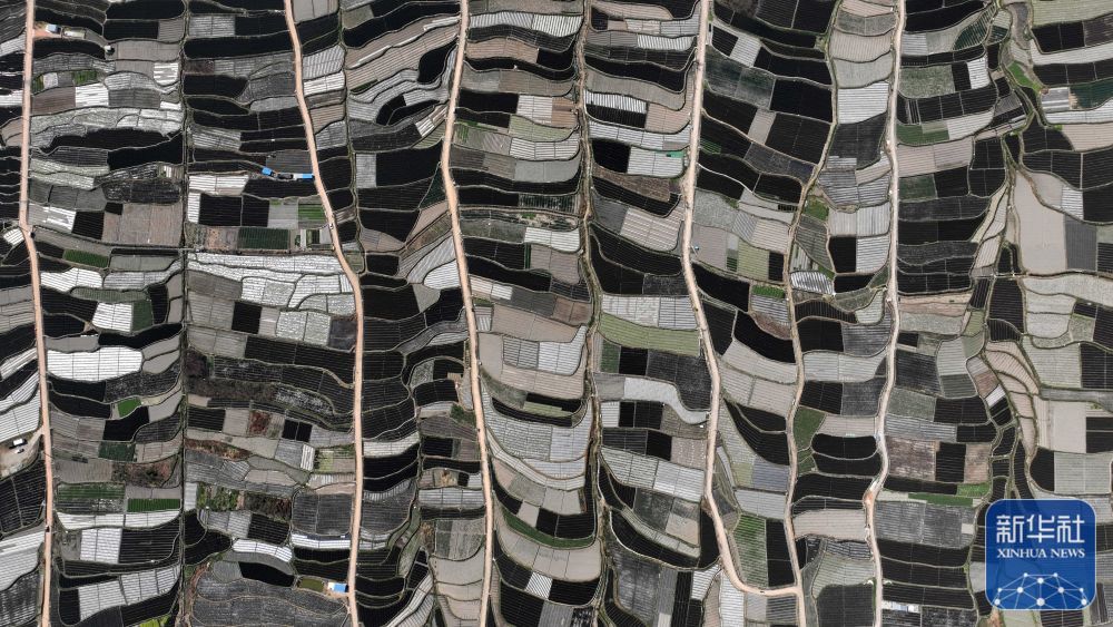 云南省文化和旅游厅