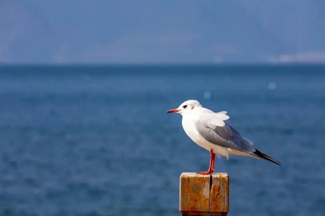 昆明文旅