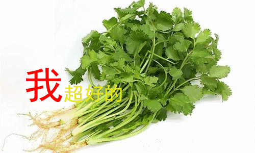 昆明盘龙发布