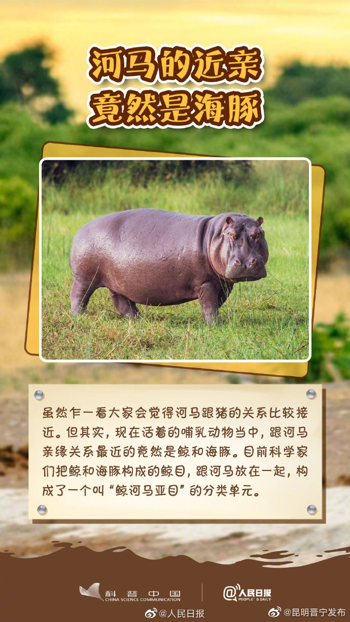 昆明晋宁发布