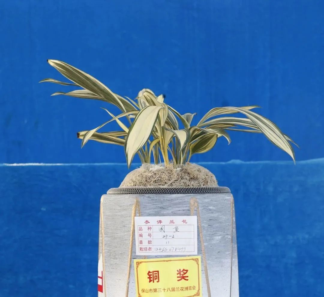 保山新闻网