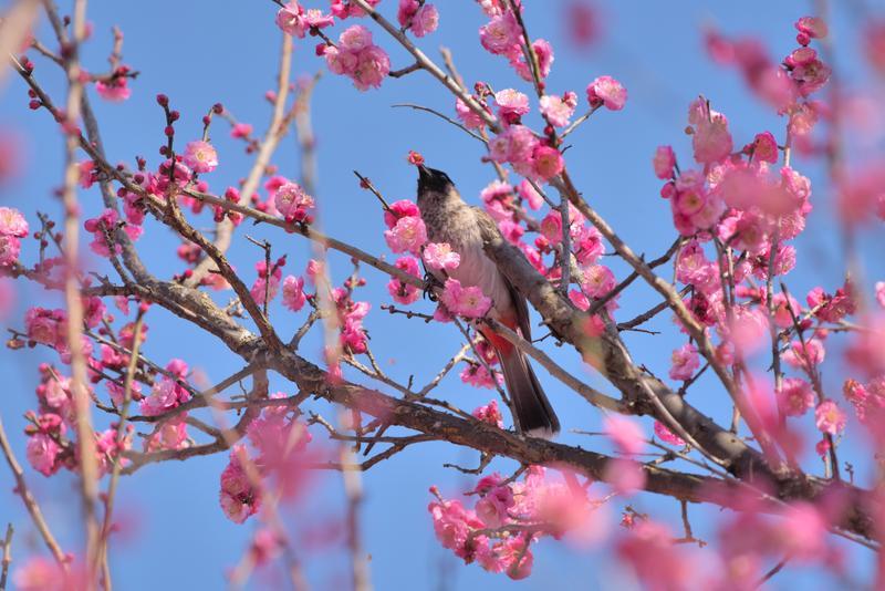 云南省文化和旅游厅