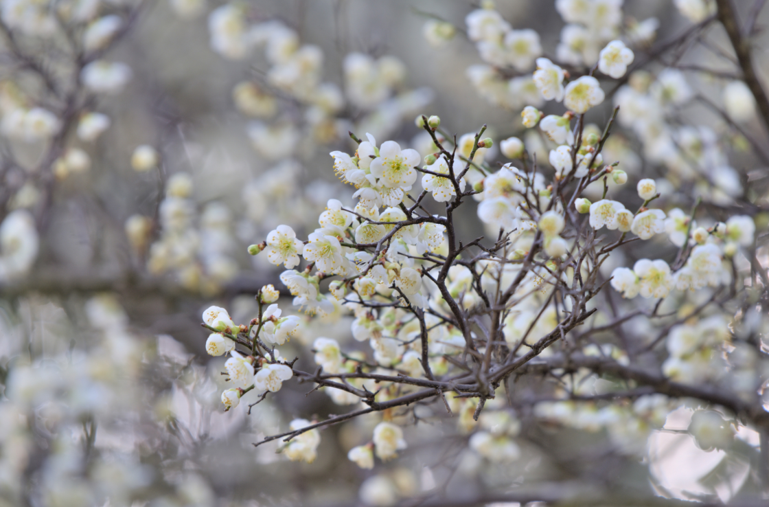 云南省文化和旅游厅