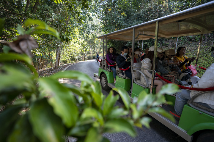 云南省文化和旅游厅