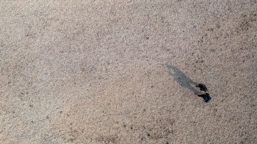 云南省文化和旅游厅