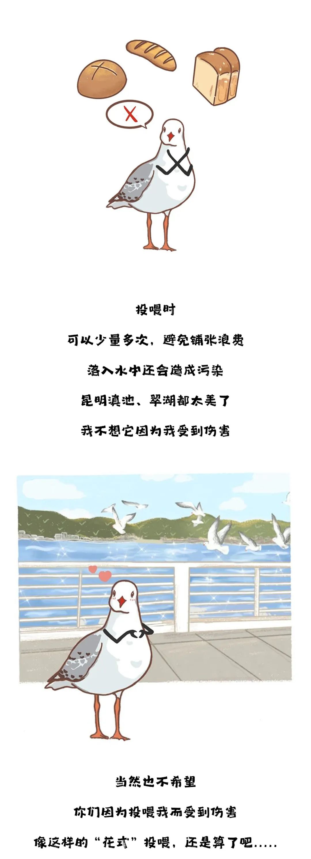 滇池度假发布