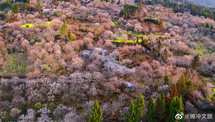 腾冲文旅微博