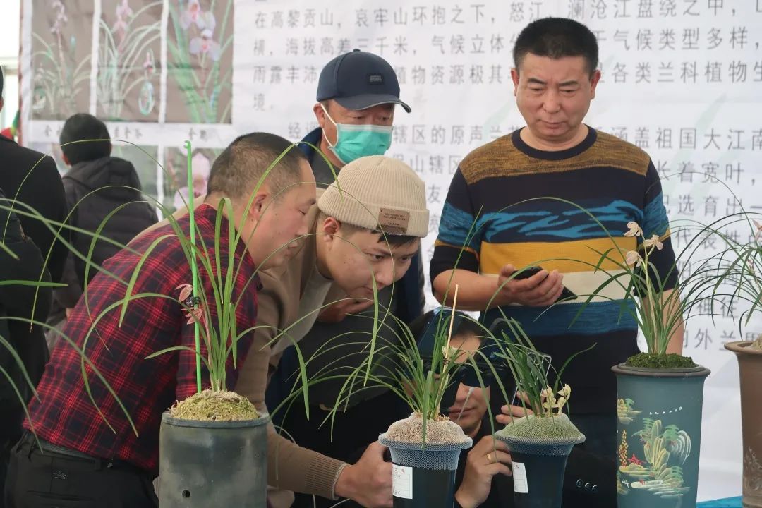 保山新闻网