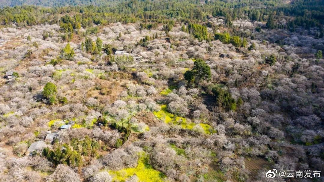 “云南发布”微博