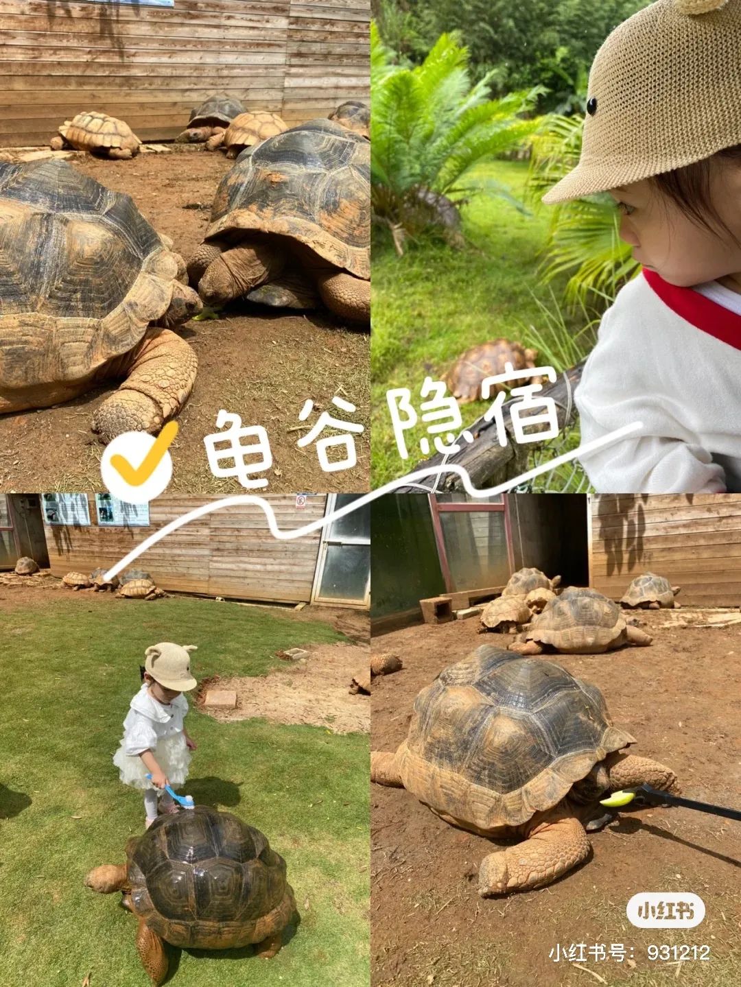 一部手机游云南