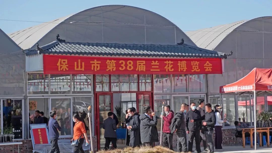 保山新闻网