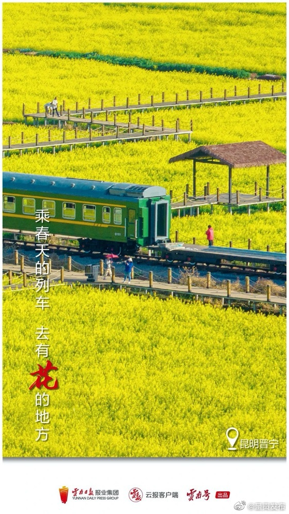 呈贡发布