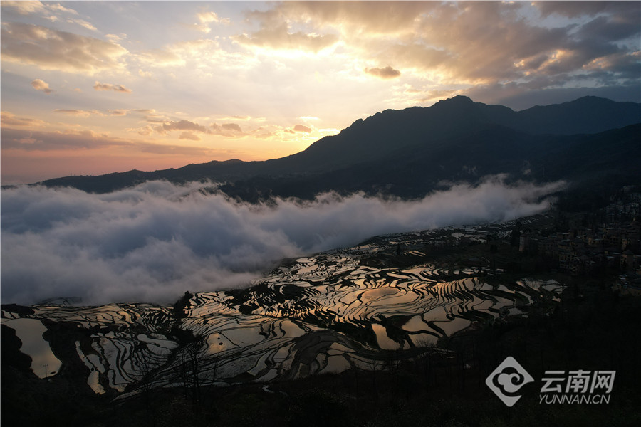 云南省文化和旅游厅