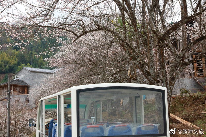 腾冲文旅微博