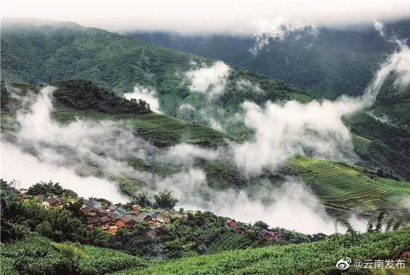 “云南发布”微博