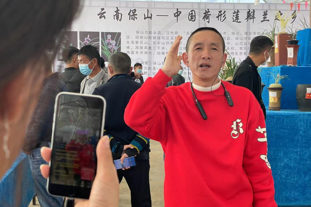 保山新闻网