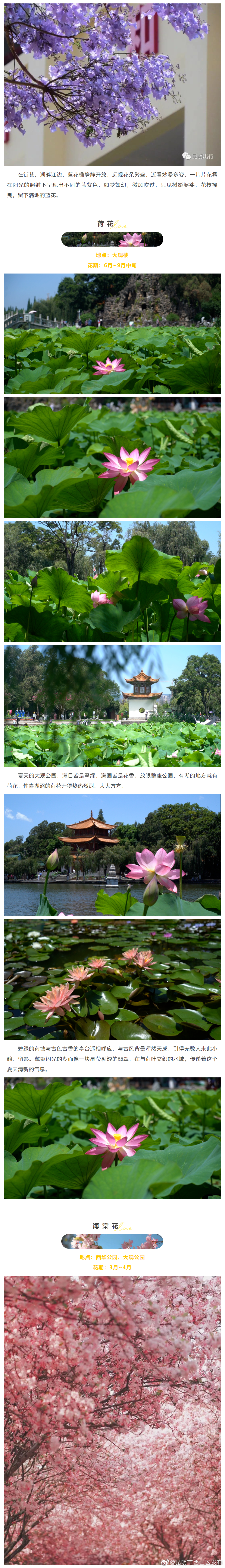 昆明市西山区发布
