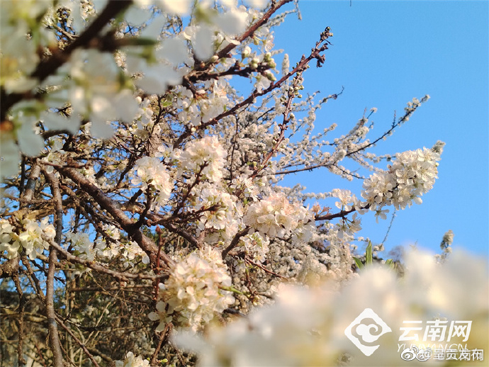 呈贡发布