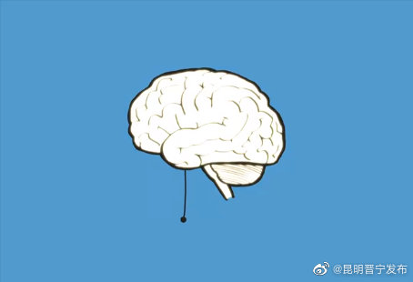 高脂饮食怎样让你上瘾