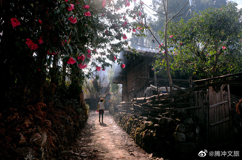 腾冲文旅微博