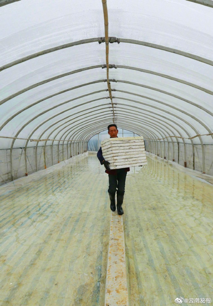 “云南发布”微博