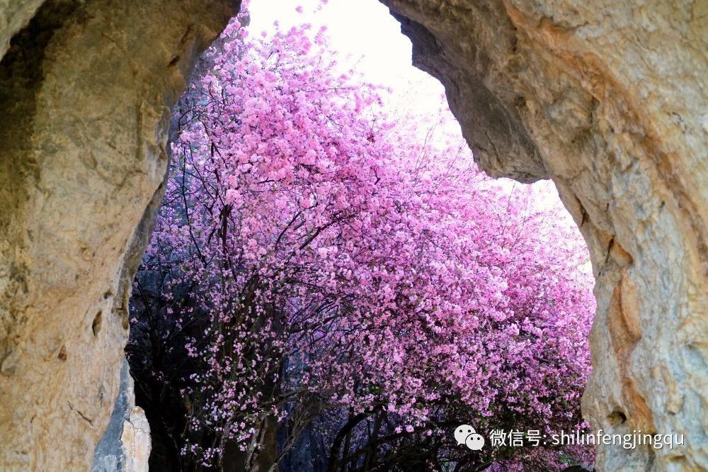 云南省文化和旅游厅