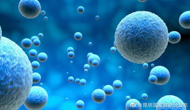 细胞科普｜“阳康”后的虚弱无力，那是免疫细胞在告急！