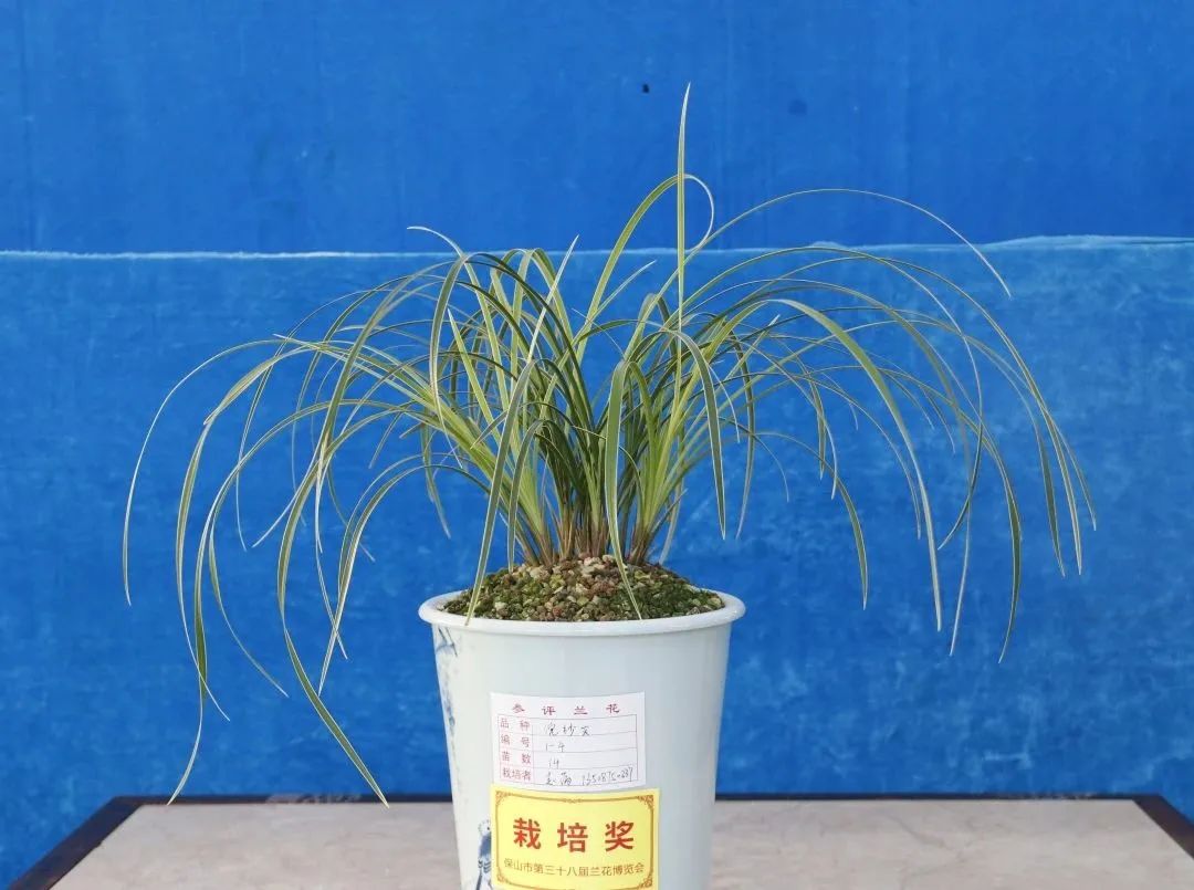 保山新闻网