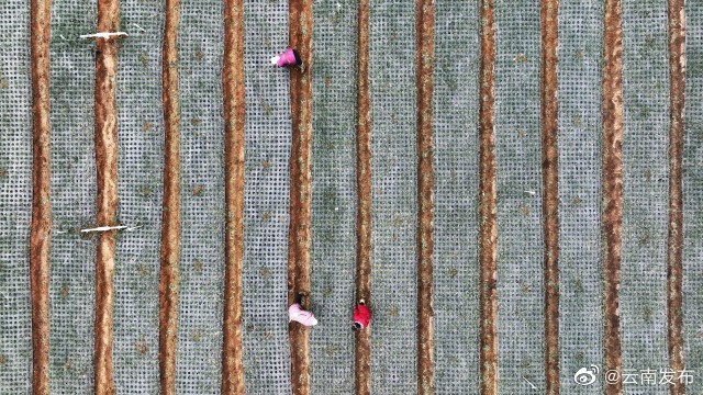 “云南发布”微博