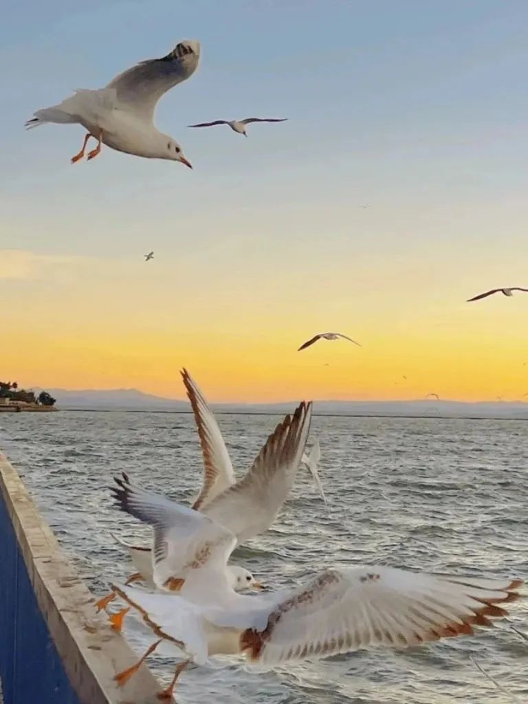 昆明文旅