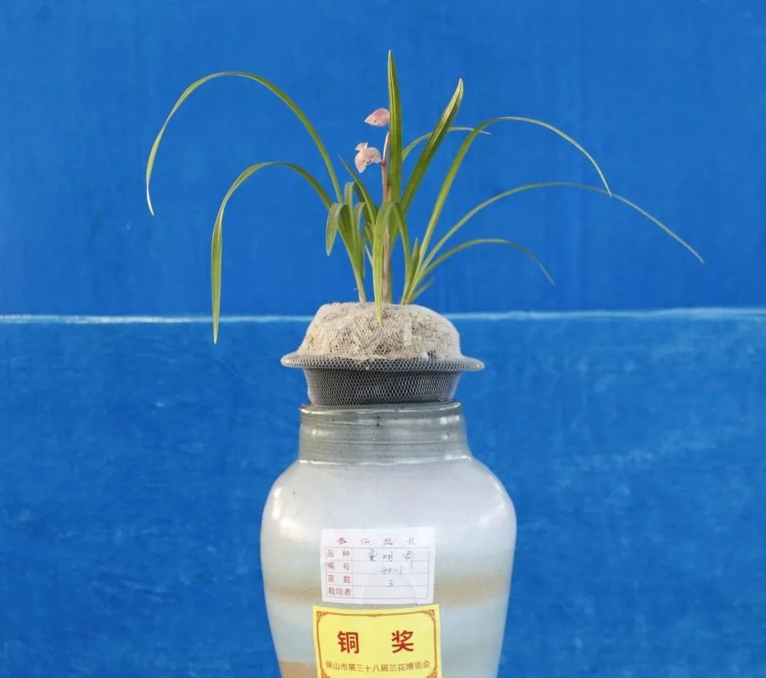 保山新闻网