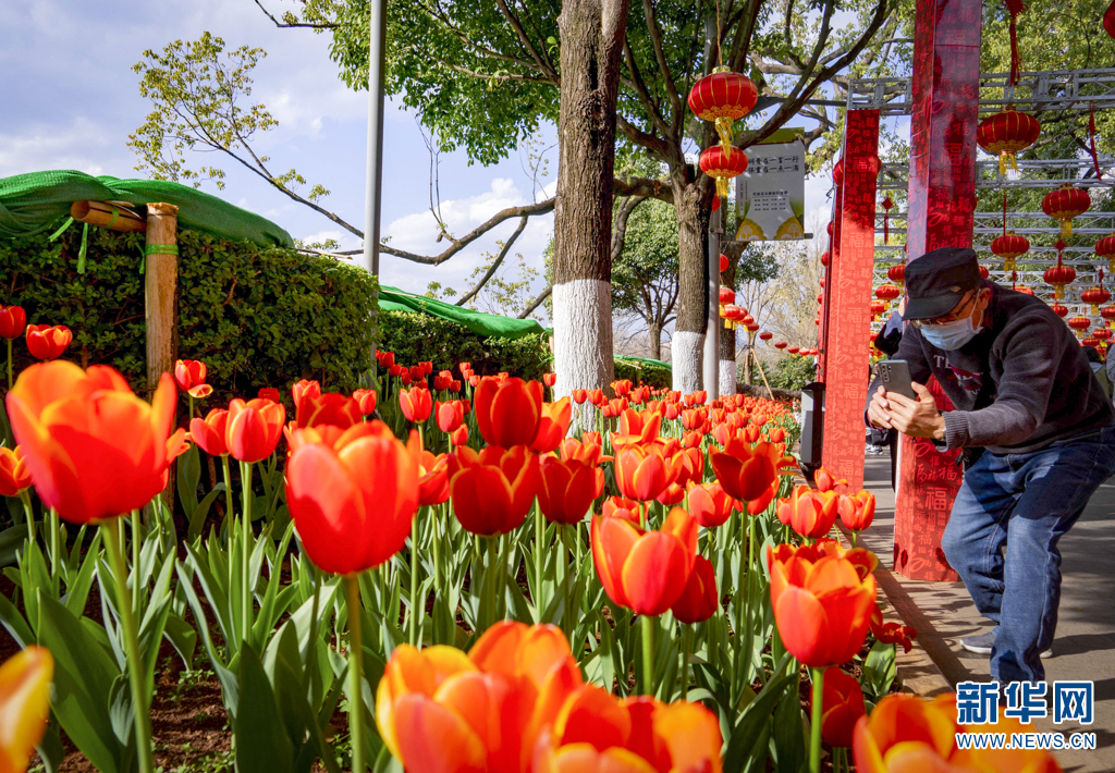 云南省文化和旅游厅