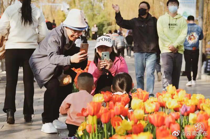 “云南发布”微博